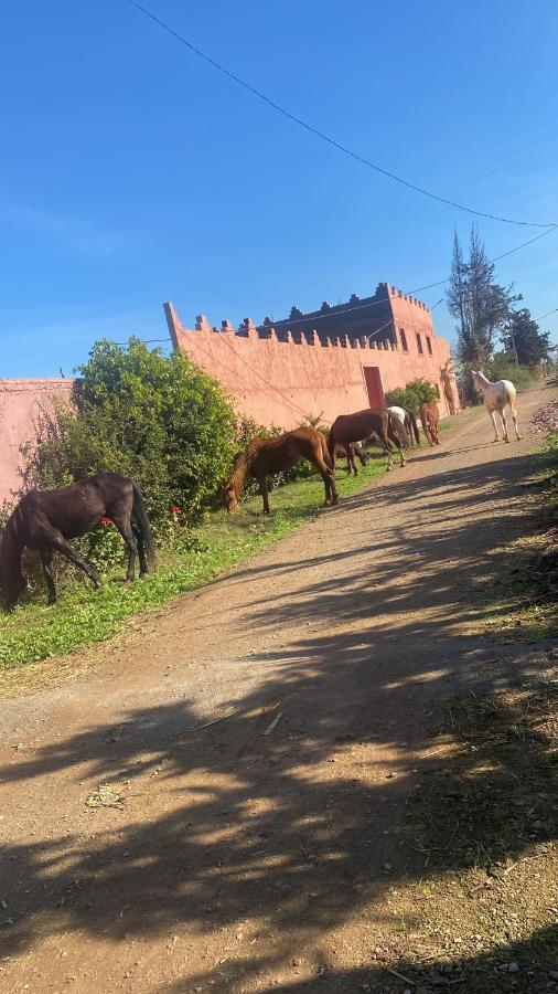 Madagh Gite Touristique Yassmine المظهر الخارجي الصورة